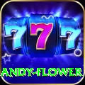 andy flower Deluxe Pro v3.2.3
