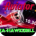 antigua hawksbill Elite v2.0.9