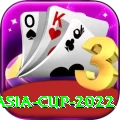 asia cup 2022 Plus Edition v2.5.3