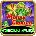 australian cricket Slot Machine Champion