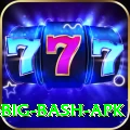 bbl big bash apk Pro Edition v1.8.6