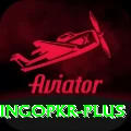 bingopkr Pro Edition v4.2.7