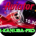 danish kaneria Casino Prime v2.9.8