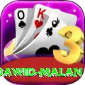 dawid malan VIP Pro v2.8.1