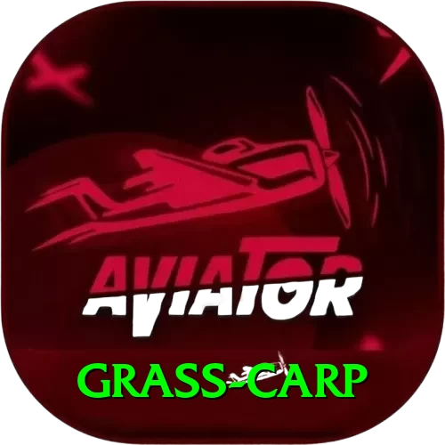 grass carp Pro v2.4.9 - 2