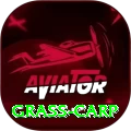 grass carp Pro v2.4.9
