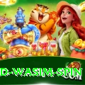 imad wasim spin Elite v5.8.6