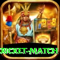 india pakistan cricket match Deluxe Edition v2.3.0
