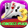 india pakistan cricket APK Ultimate v4.4.8