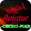 international cricket Legend v2.0.3