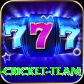 ireland cricket team Elite Pro v3.2.7