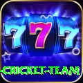 mumbai cricket team Plus v1.2.6