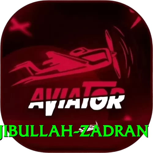 najibullah zadran Master v5.4.8 - 2