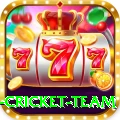 netherlands cricket team Apps (Tools & Injectors) Master v3.8.0