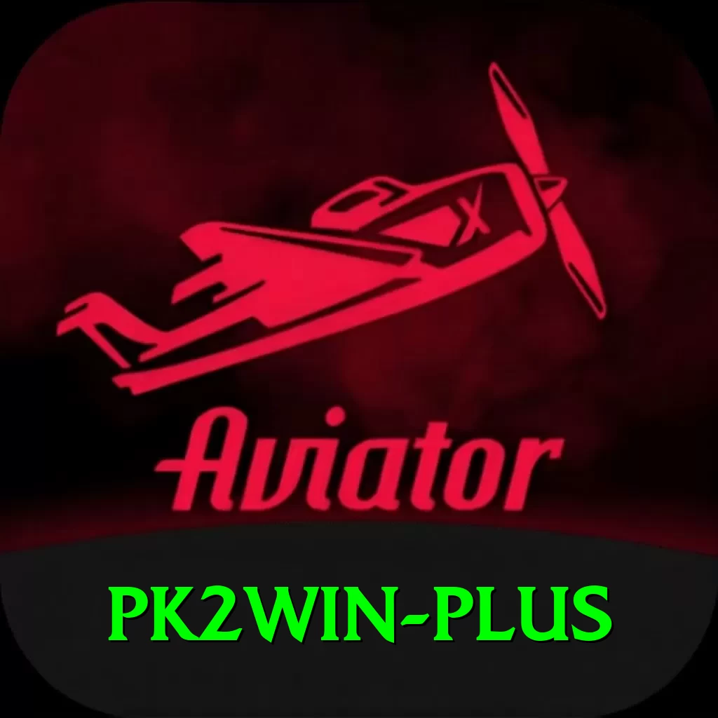 pk2win VIP v4.2.8 - 2