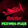 pk2win VIP v4.2.8
