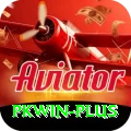 pkwin Pro v4.7.4