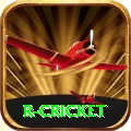 r cricket Premium v1.3.3