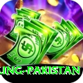 responsible gambling pakistan Master Pro v1.2.0