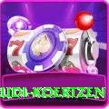 rudi koertzen Premium Plus v2.0.5