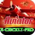 sports cricket Legend - Daily Bonus