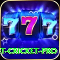 test cricket App Deluxe v3.3.6