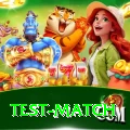 test match Apps (Tools & Injectors) Pro v5.2.2
