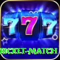to day cricket match Pro Edition v4.8.9