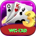 wc t20 Apps (Tools & Injectors) Max v1.9.0